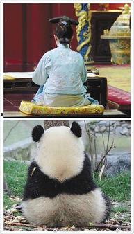 娱乐圈吃瓜群众是谁呀,揭秘那些热衷于八卦的明星粉丝群体